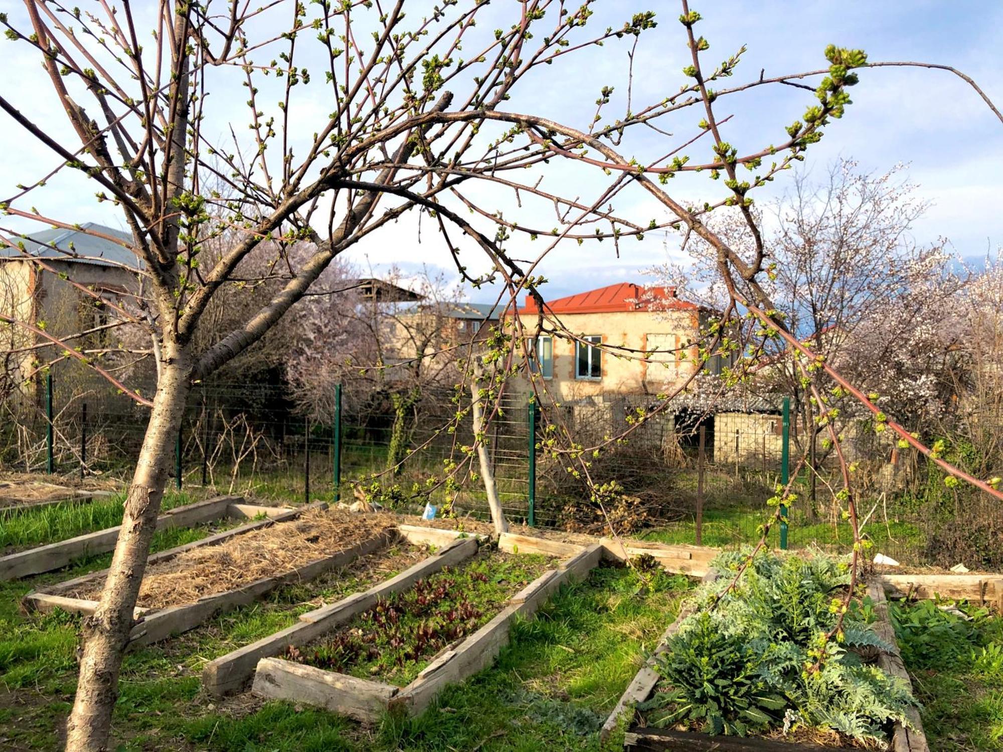 Lokokina Guesthouse Telavi Buitenkant foto